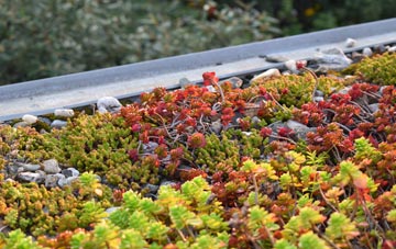 the cost of Bayston Hill green roof installation